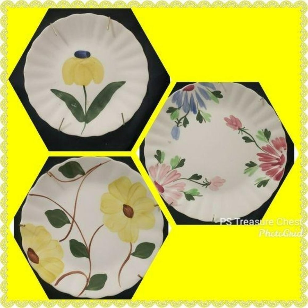 Blue Ridge hand‎ painted plates southern pottery